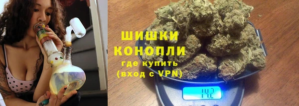 стафф Верхний Тагил