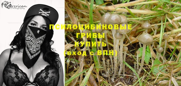 твердый Верея
