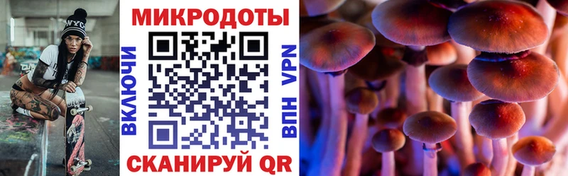 Псилоцибиновые грибы ЛСД Выборг