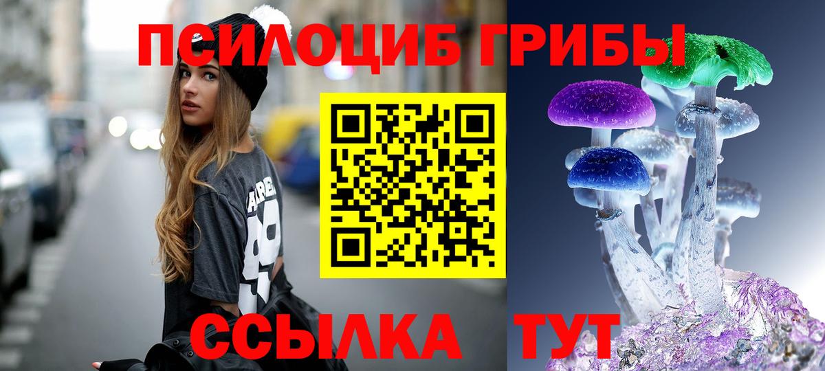 Псилоцибиновые грибы Psilocybine cubensis  Псилоцибиновые грибы мухоморы  Выборг  Вход с VPN 