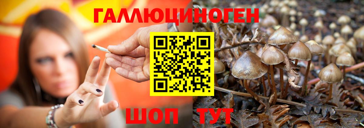 Псилоцибиновые грибы ЛСД Выборг
