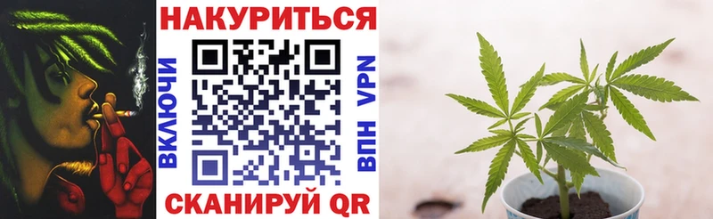 дарнет шоп  Выборг  Канабис Amnesia 